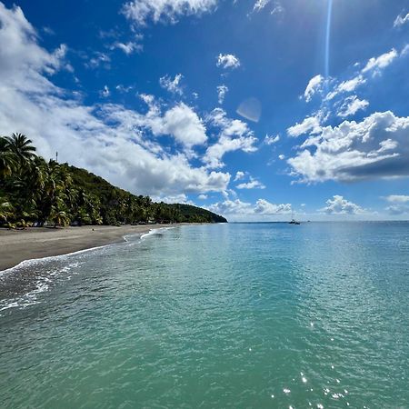 Le Gaspardo , 2 Chambres Climatisees , A 2 Mins A Pied De La Plage , Wifi , Jardin Clos, Parking ,Sans Vis-A-Vis Le Carbet Exterior photo